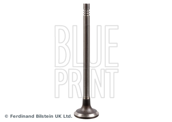 Intake Valve